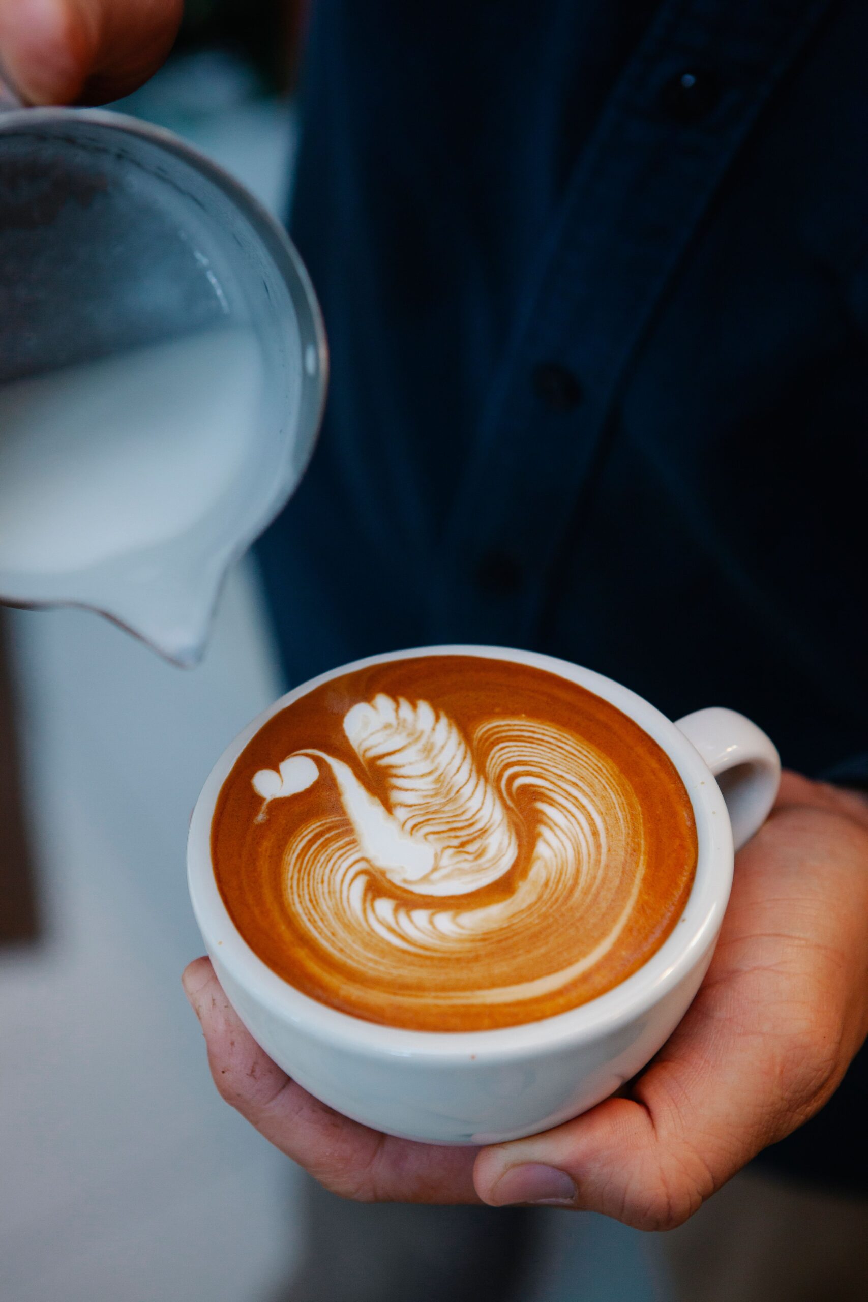 Cisne sobre café